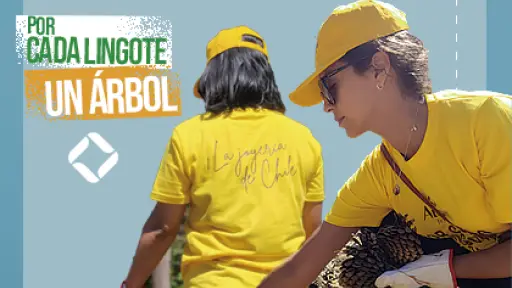 Voluntarios se unen para restaurar el Jardín Botánico ,cdnx.jumpseller.com