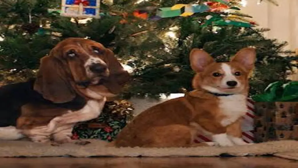 La razón de estar contigo: Una Navidad perfecta ,Netflix