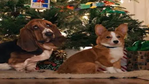La razón de estar contigo: Una Navidad perfecta ,Netflix